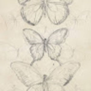 Meet your Posher, Lucy